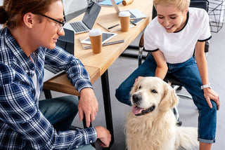 Training Your Dog for a Successful Workday: Tips for Good Behavior at the Office - Arrak Outdoor USA