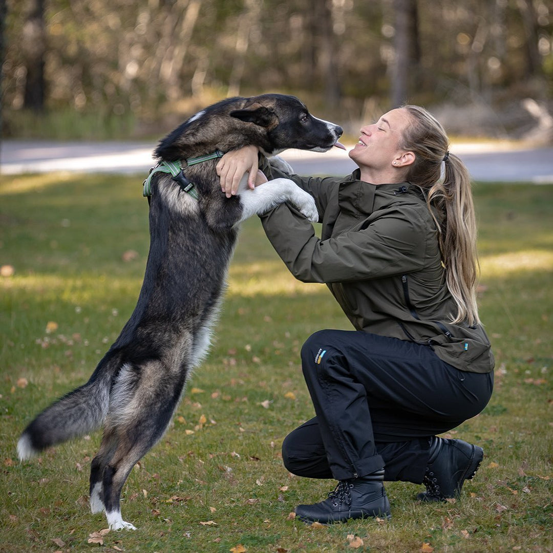 The Importance of Scratch-Proof and Slobber-Resistant Dog Training Clothing