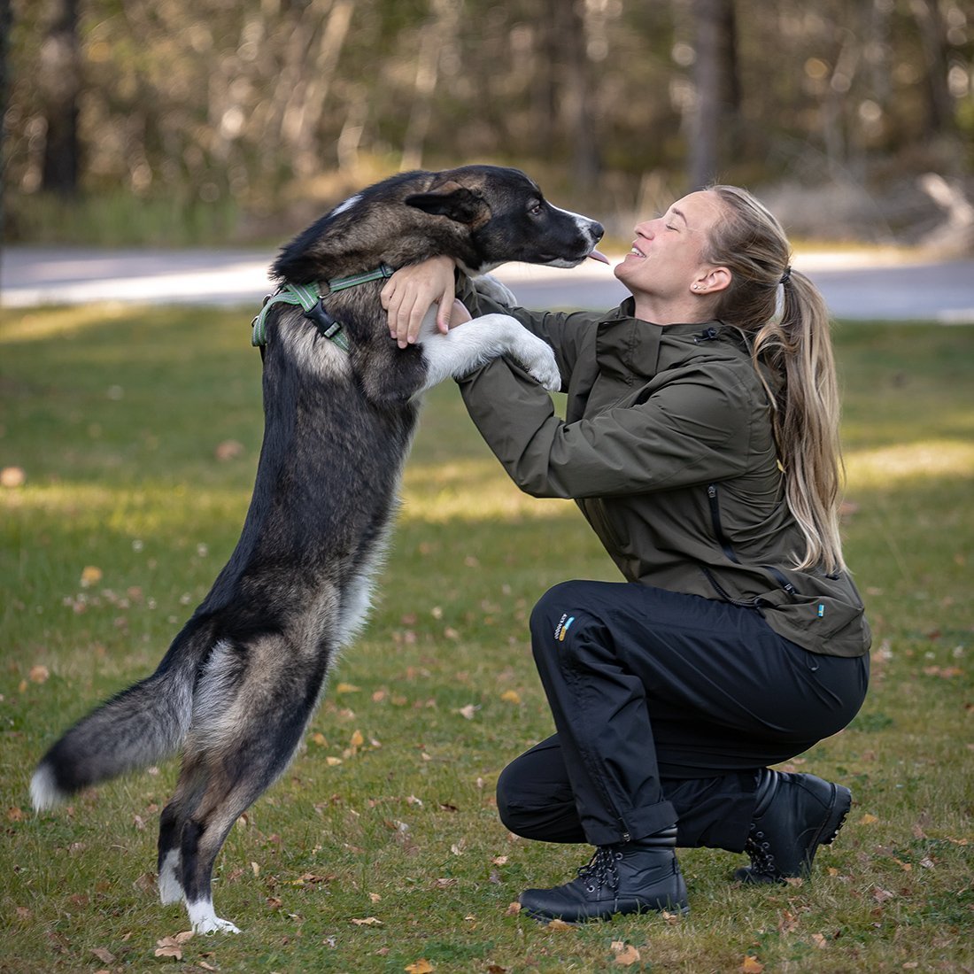 The Importance of Scratch-Proof and Slobber-Resistant Dog Training Clothing - Arrak Outdoor USA